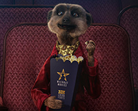 Aleksandr meerkats